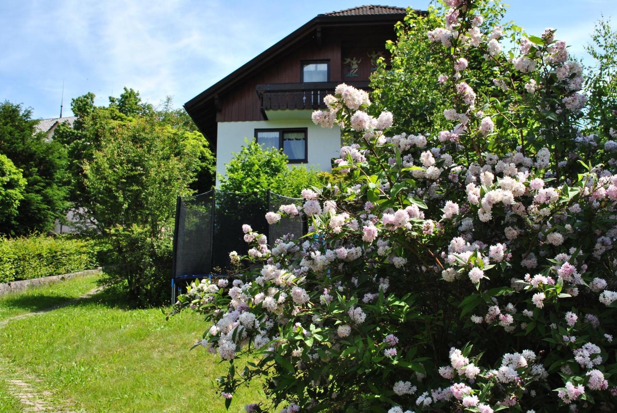 Ferienwohnungen Wellness Goldener Hahn Baiersbronn Zimmer foto